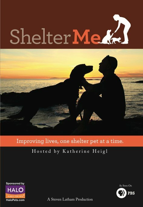 Shelter Me (2012)