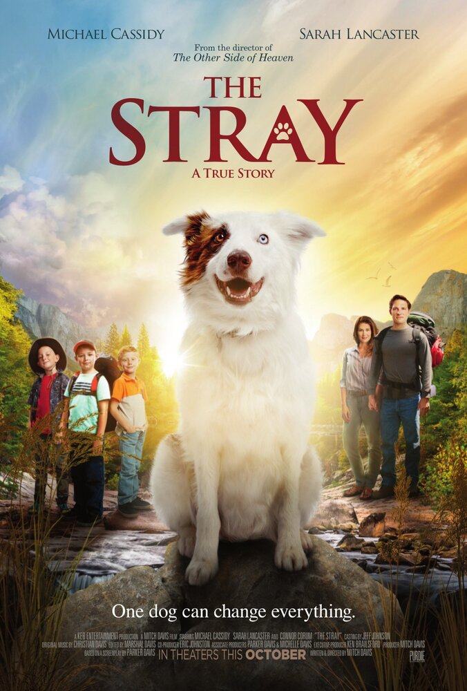 The Stray (2017)