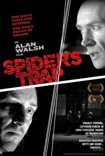 Spiders Trap (2015)